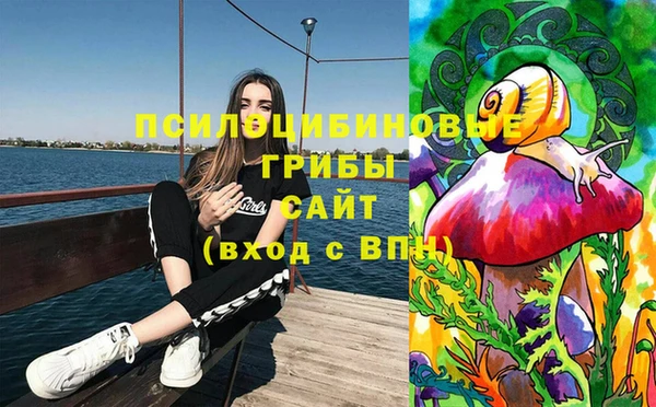 apvp Балабаново