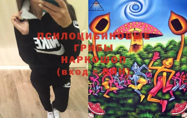 дурь Аркадак