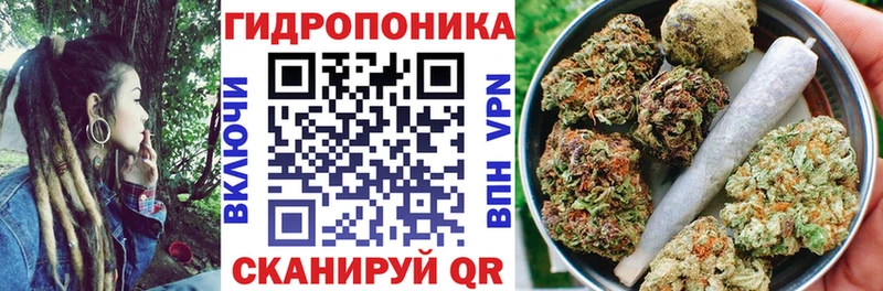 Бошки Шишки THC 21%  где продают наркотики  Кемь 